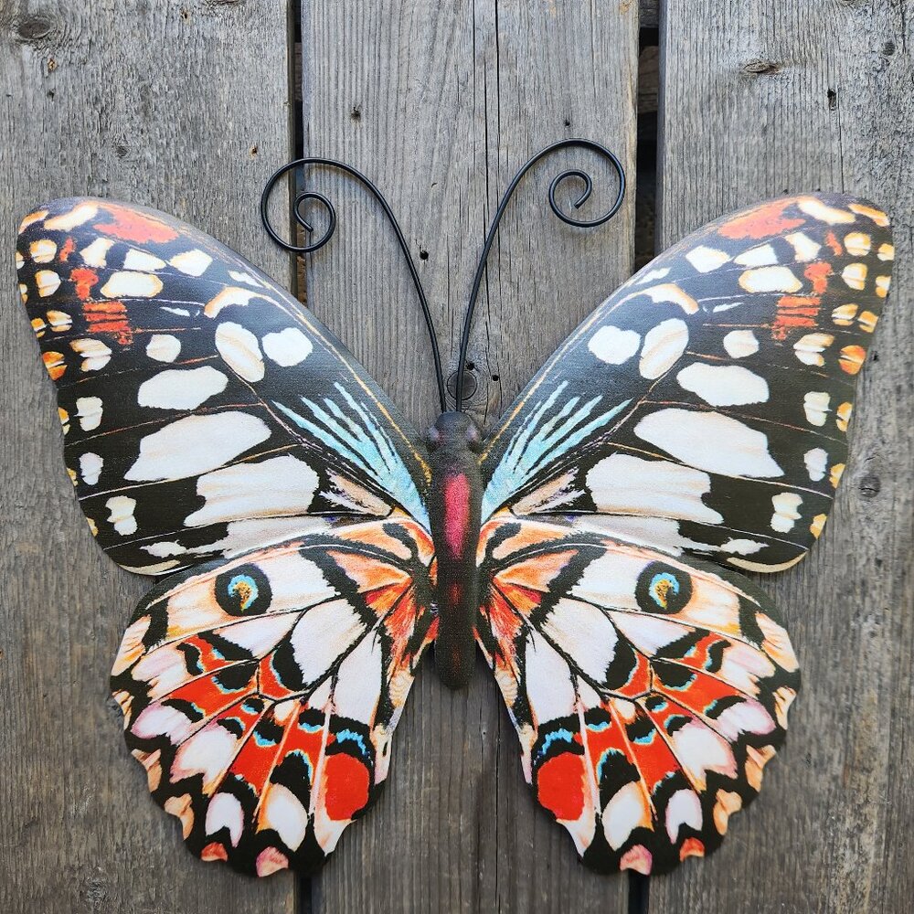 Apollo Butterfly, Dim: 14" L x 12" H